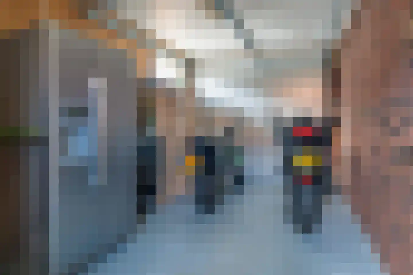 De Pinksterblom 6 De Westereen thumbnail 37