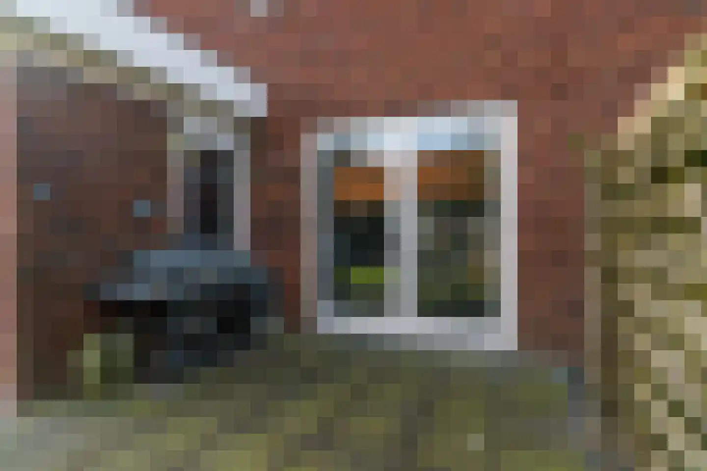 De Pinksterblom 6 De Westereen thumbnail 42