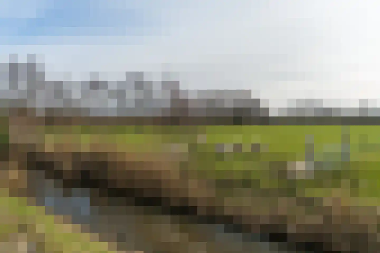 De Pinksterblom 6 De Westereen thumbnail 44