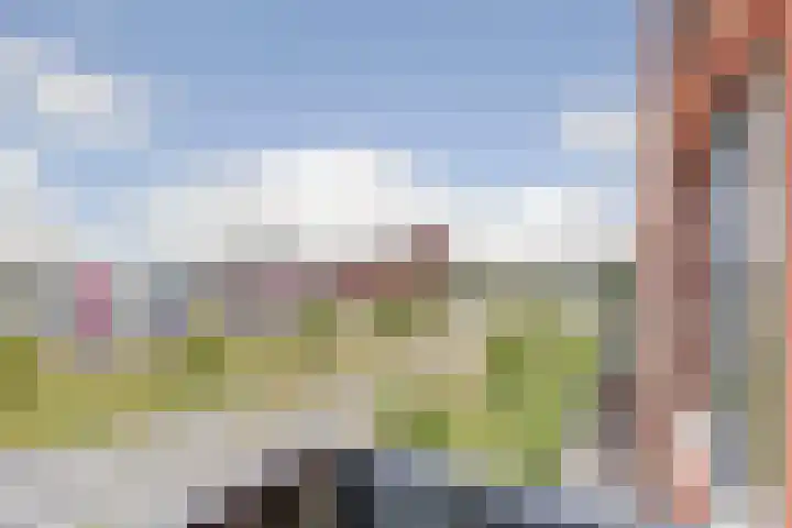 De Pionier 104 Dronten thumbnail 11