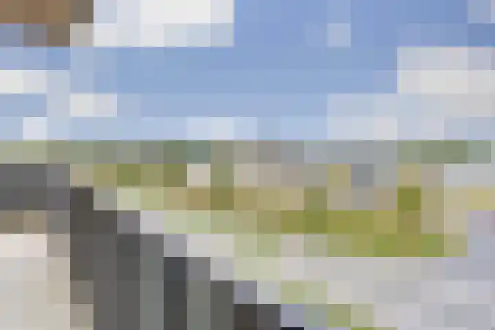 De Pionier 104 Dronten thumbnail 13