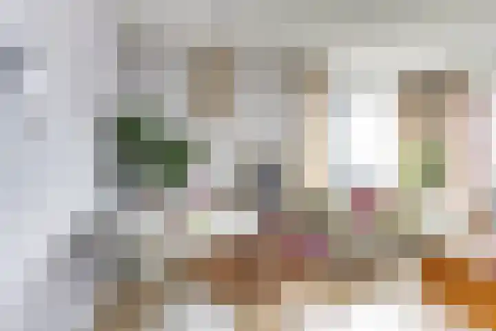 De Pionier 104 Dronten thumbnail 15