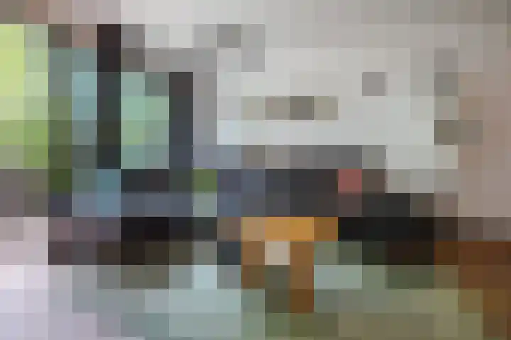 De Pionier 104 Dronten thumbnail 29