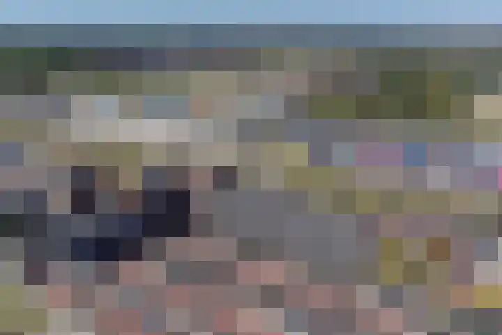 De Pionier 104 Dronten thumbnail 30