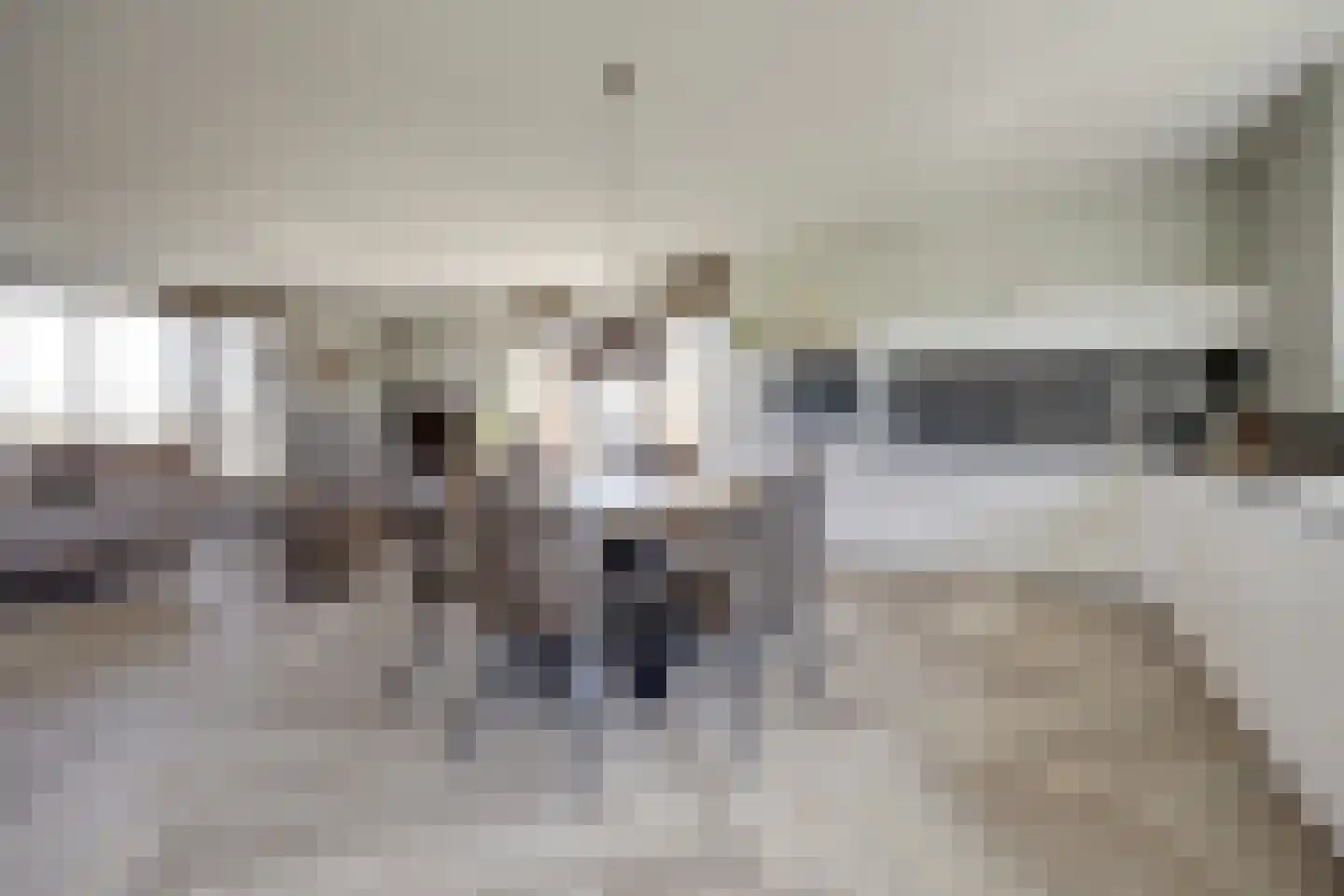 De Pionier 108 Dronten thumbnail 10