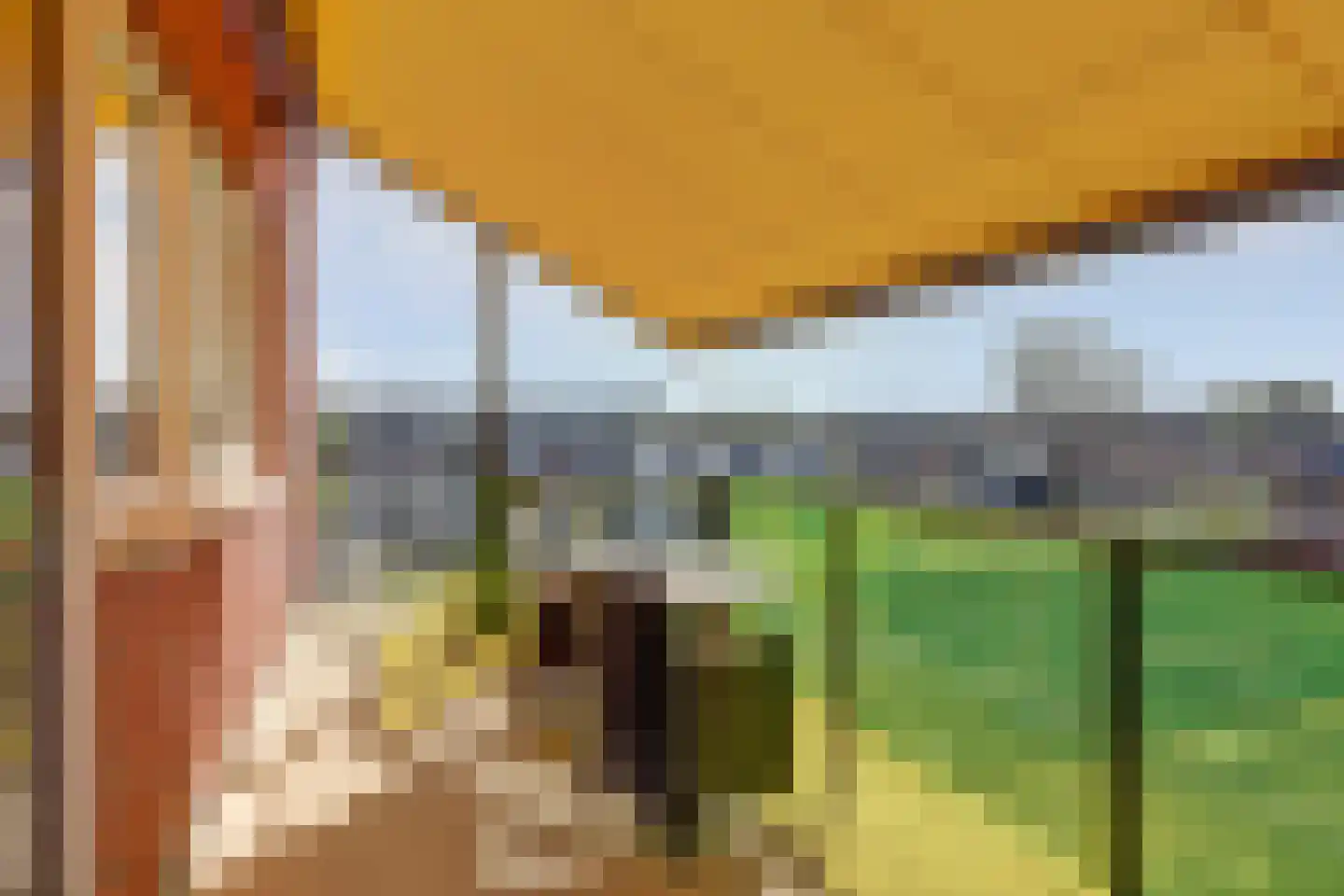 De Pionier 108 Dronten thumbnail 28
