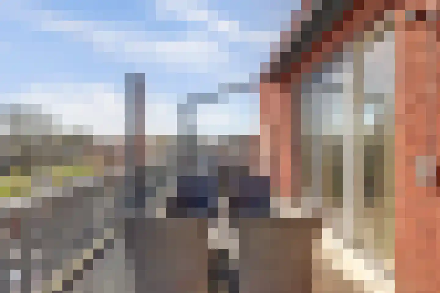 De Pionier 108 Dronten thumbnail 30