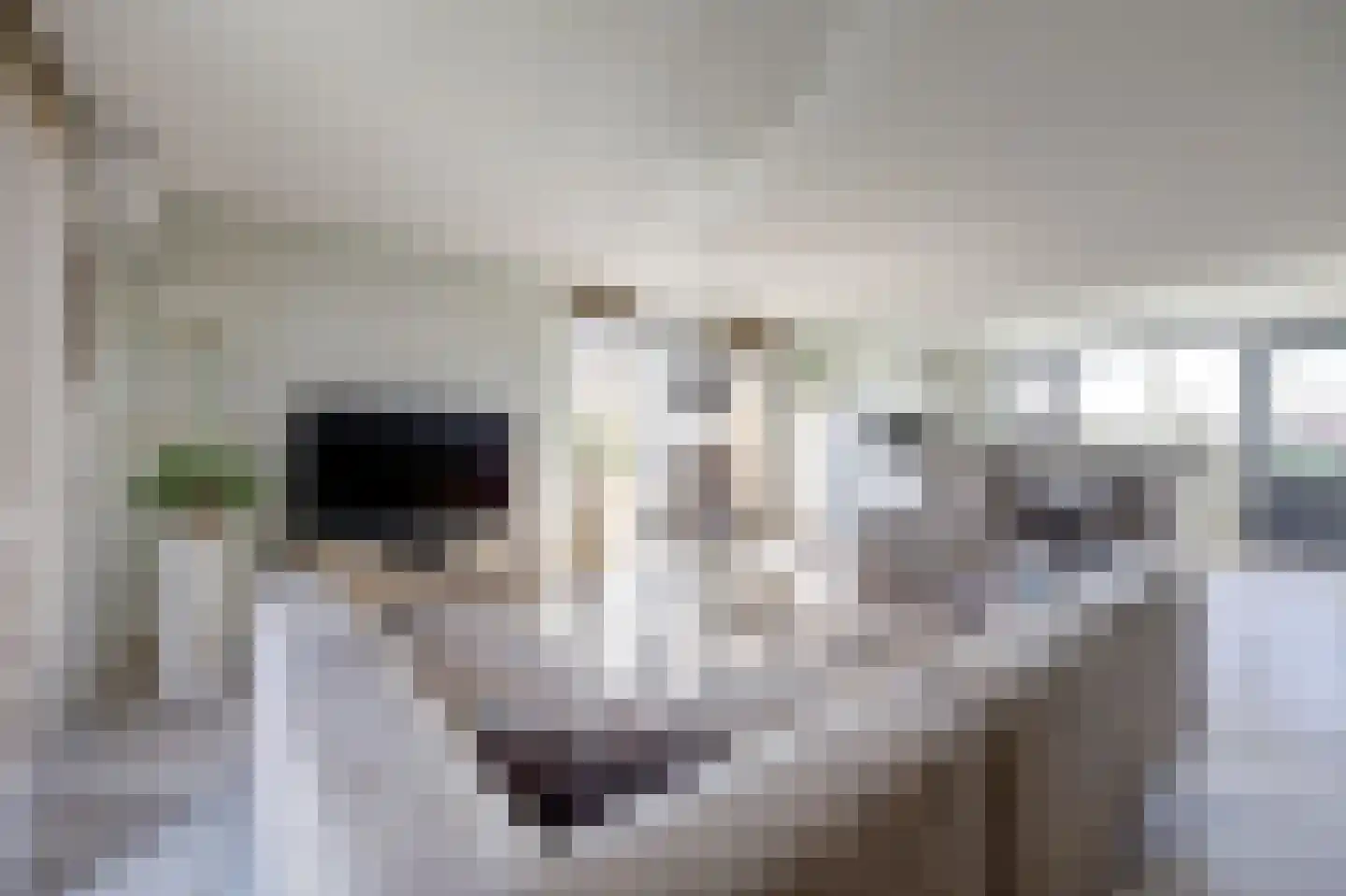 De Pionier 108 Dronten thumbnail 5