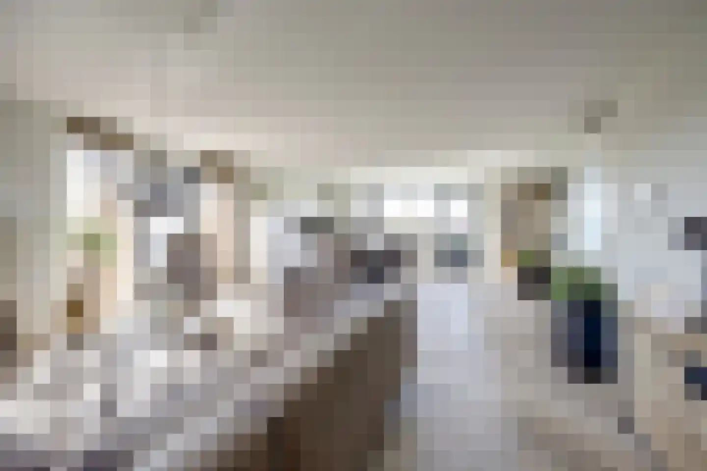 De Pionier 108 Dronten thumbnail 7