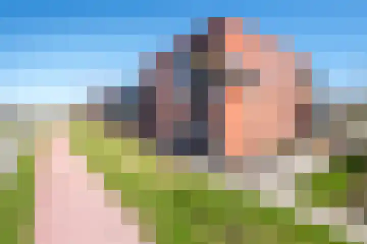 De Pionier 14 Dronten thumbnail 10