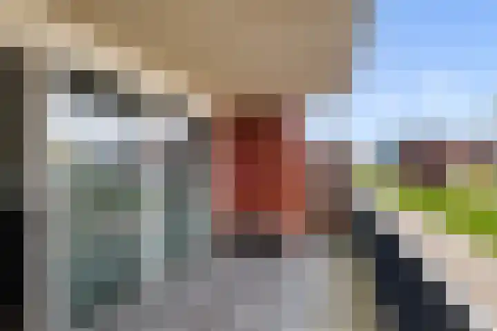 De Pionier 14 Dronten thumbnail 12