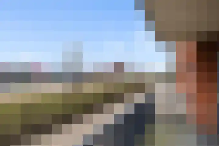 De Pionier 14 Dronten thumbnail 13