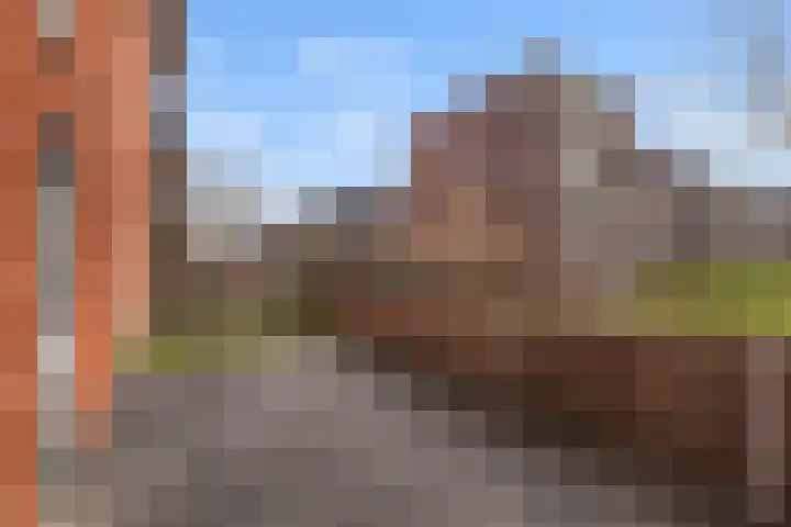 De Pionier 14 Dronten thumbnail 14