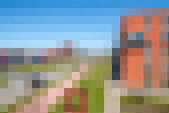 De Pionier 14 Dronten thumbnail 16