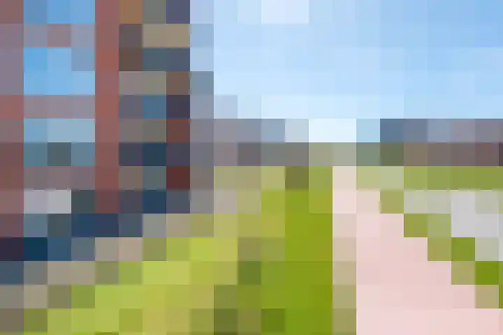 De Pionier 14 Dronten thumbnail 18