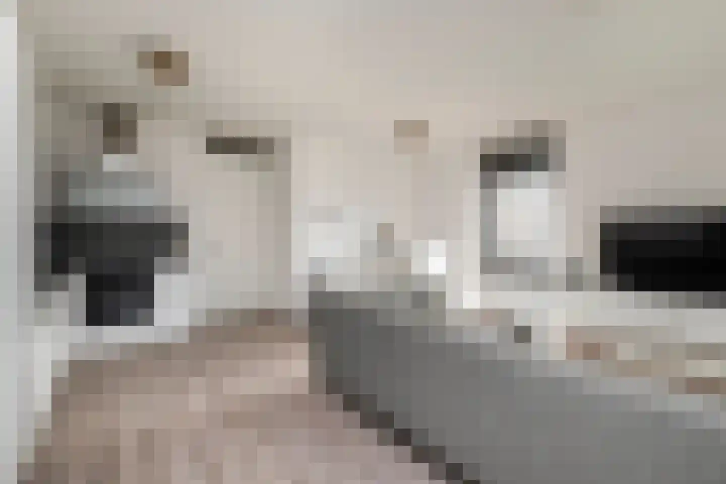 De Pionier 14 Dronten thumbnail 9