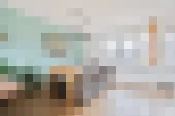 De Pionier 4 Dronten thumbnail 17