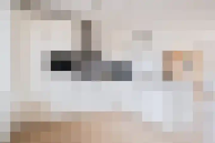 De Pionier 4 Dronten thumbnail 19