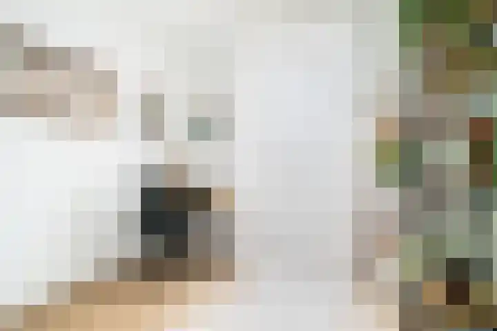 De Pionier 4 Dronten thumbnail 24