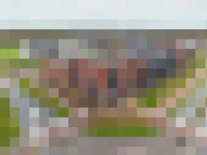 De Pionier 4 Dronten thumbnail 35