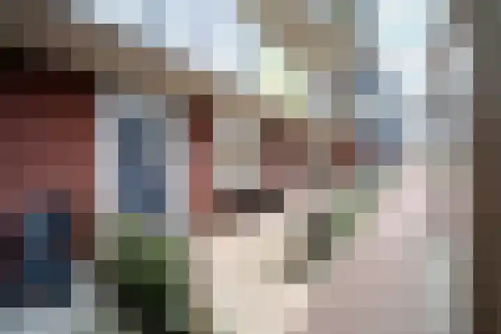 De Pionier 4 Dronten thumbnail 5