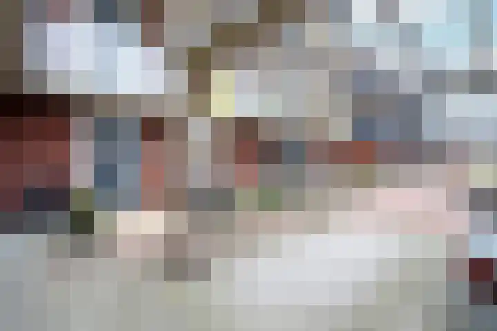 De Pionier 4 Dronten thumbnail 6