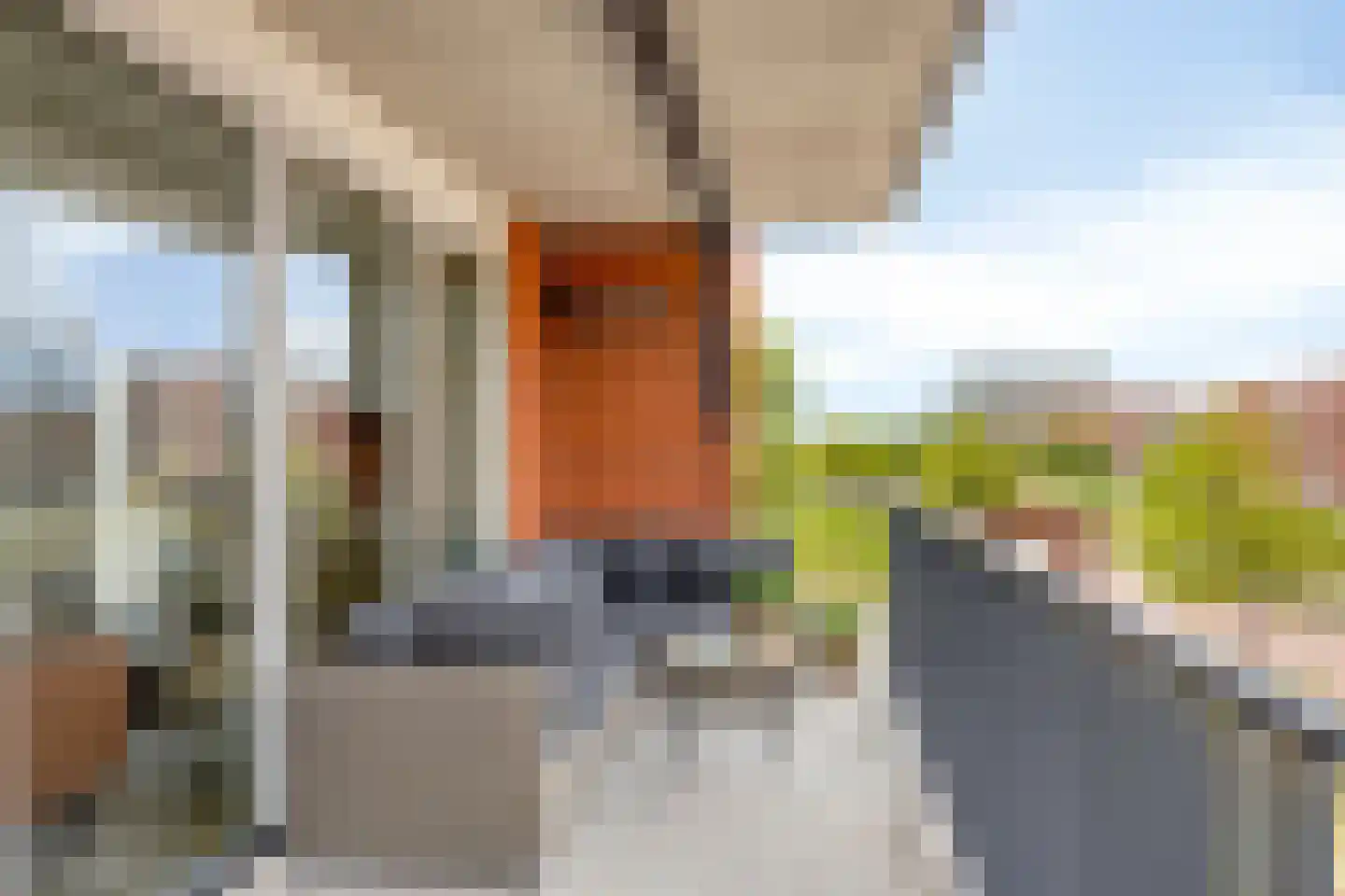 De Pionier 46 Dronten thumbnail 10