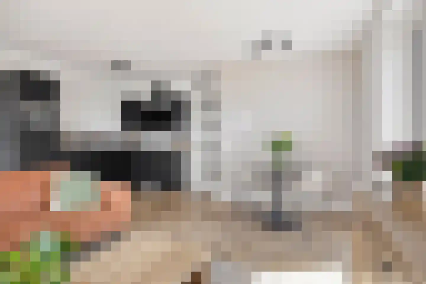 De Pionier 46 Dronten thumbnail 18