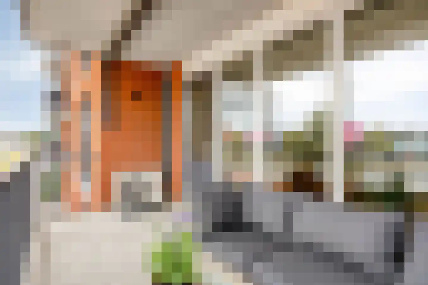 De Pionier 46 Dronten thumbnail 25