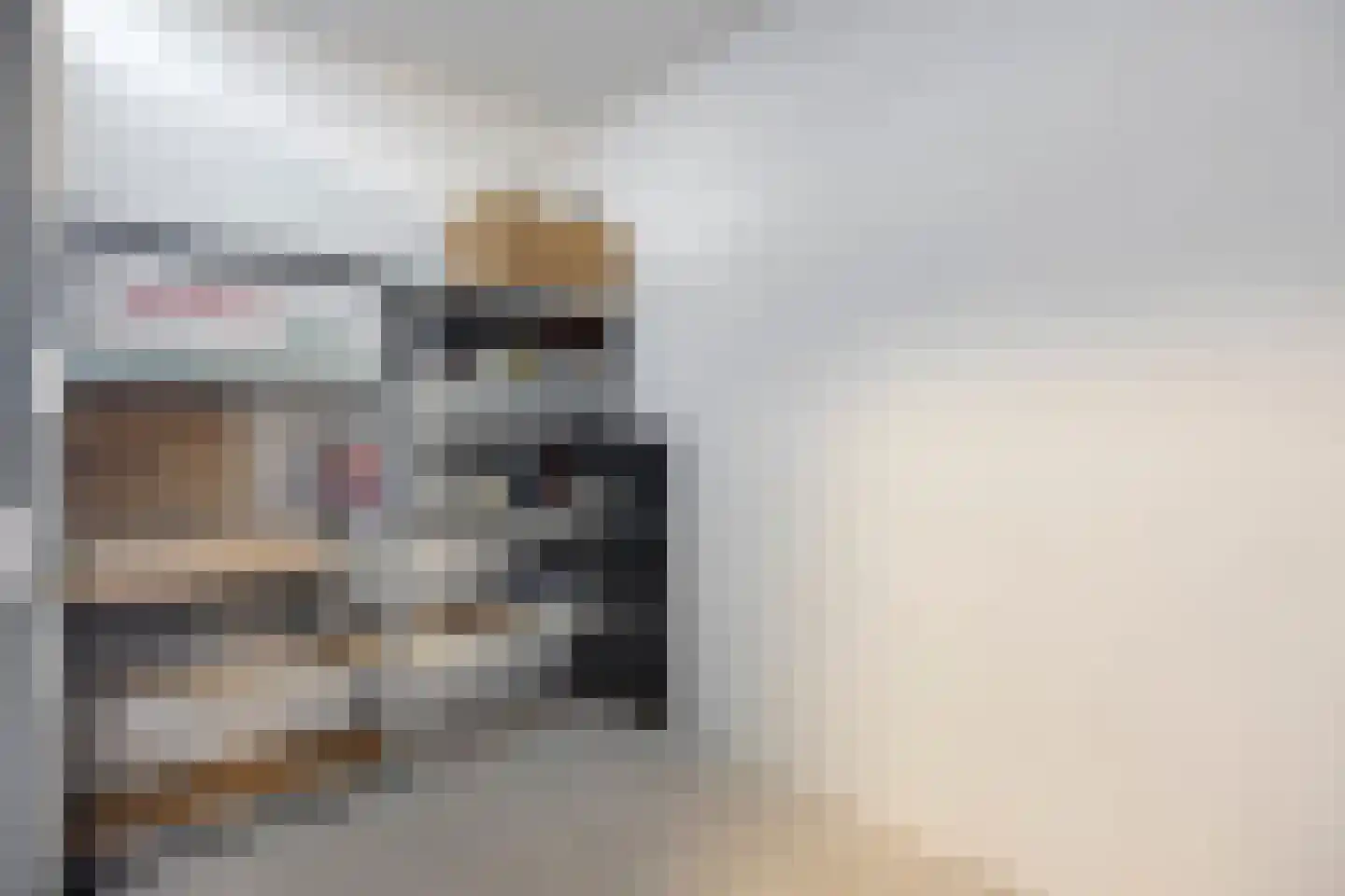 De Pionier 46 Dronten thumbnail 27