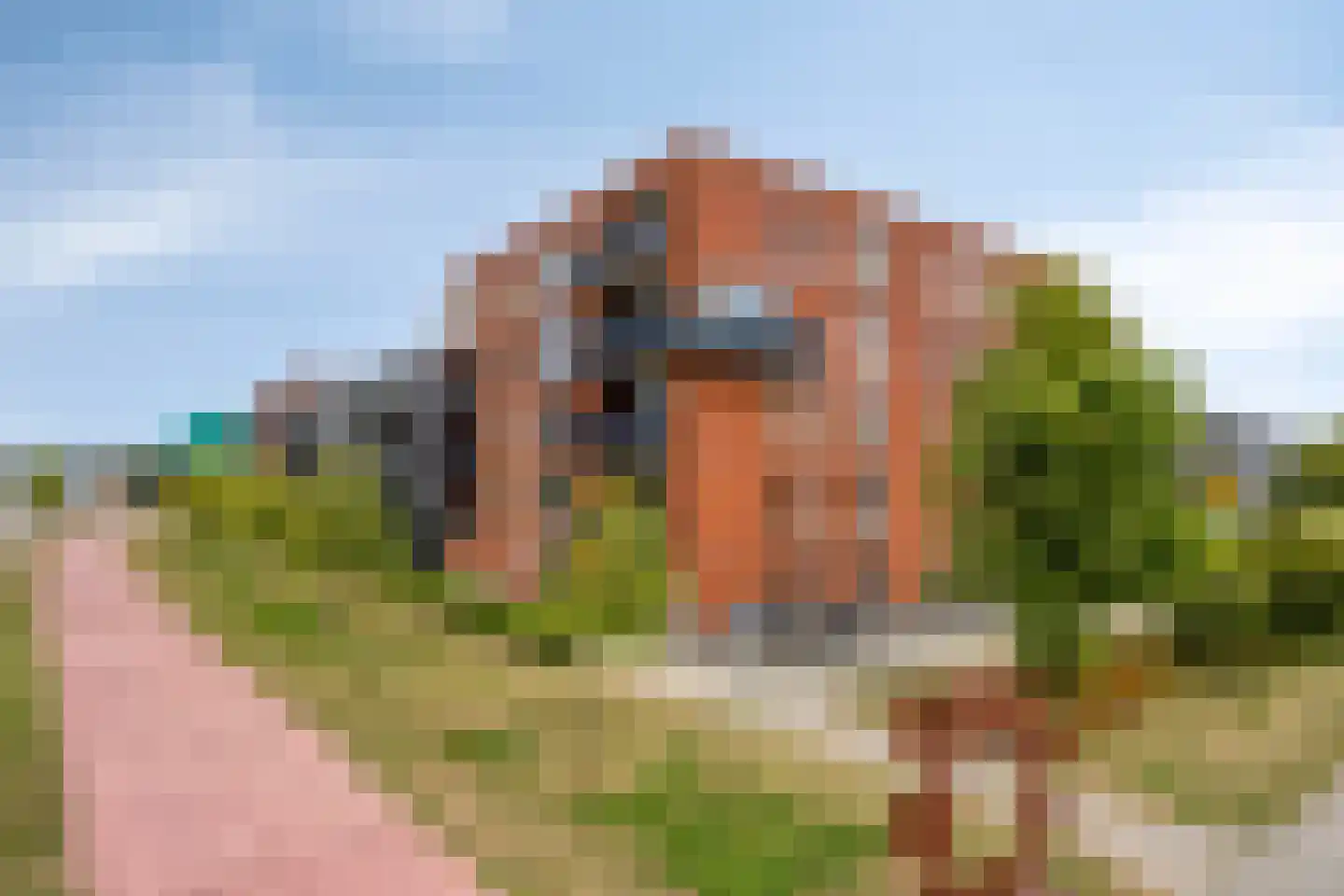 De Pionier 46 Dronten thumbnail 29