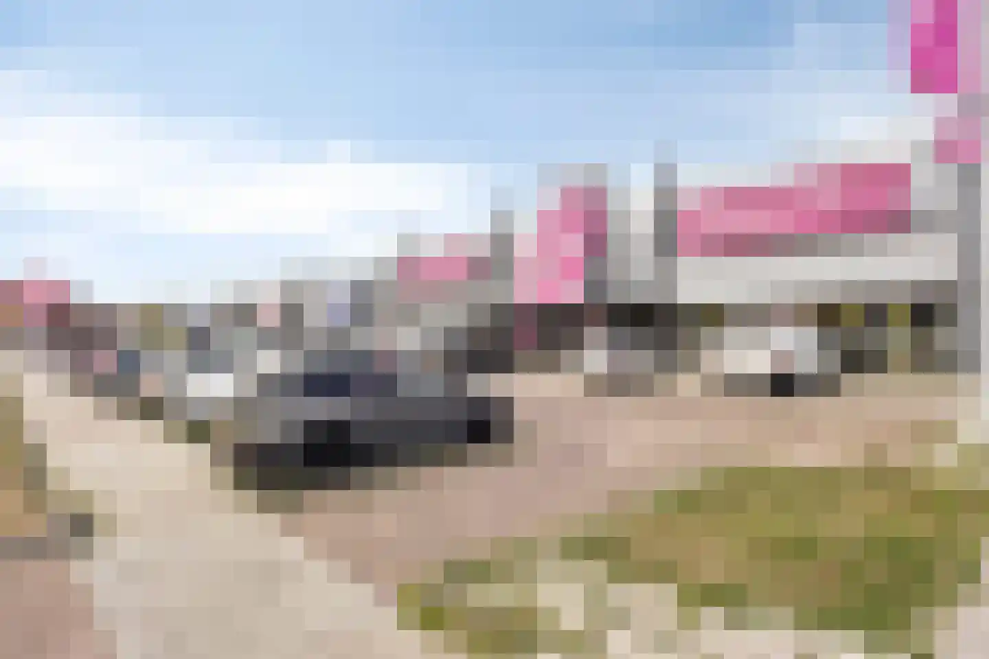 De Pionier 46 Dronten thumbnail 34