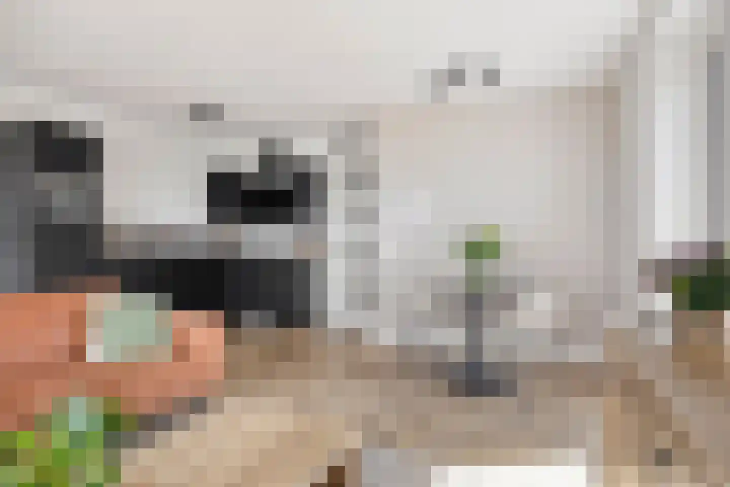 De Pionier 46 Dronten thumbnail 8