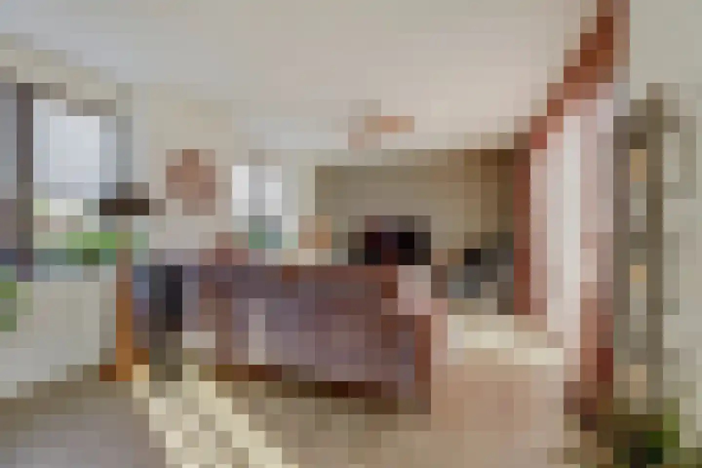 De Pionier 58 Dronten thumbnail 13