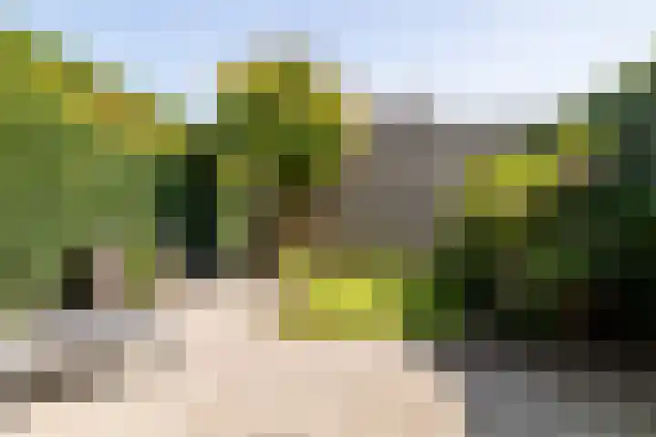De Pionier 58 Dronten thumbnail 14