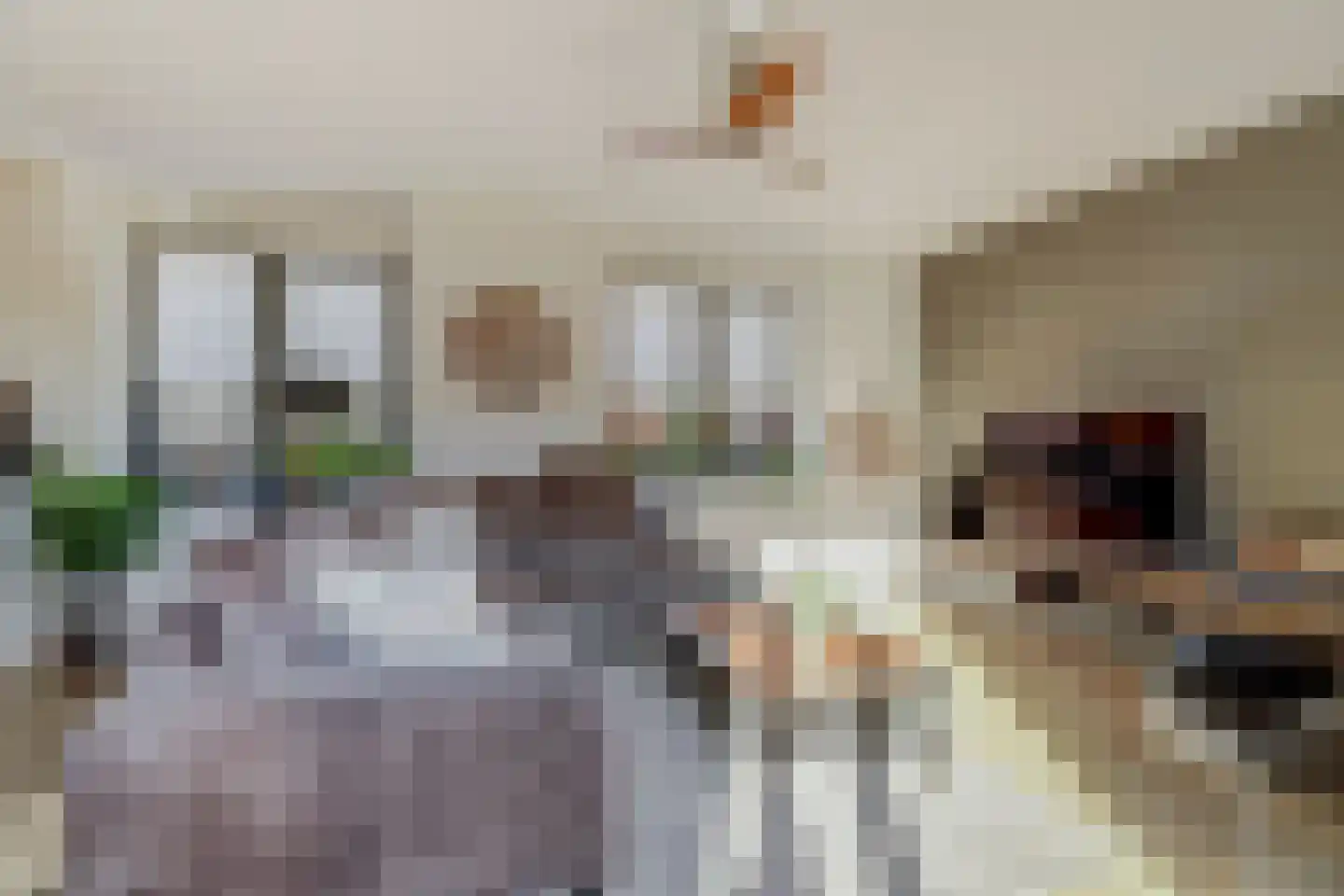 De Pionier 58 Dronten thumbnail 14