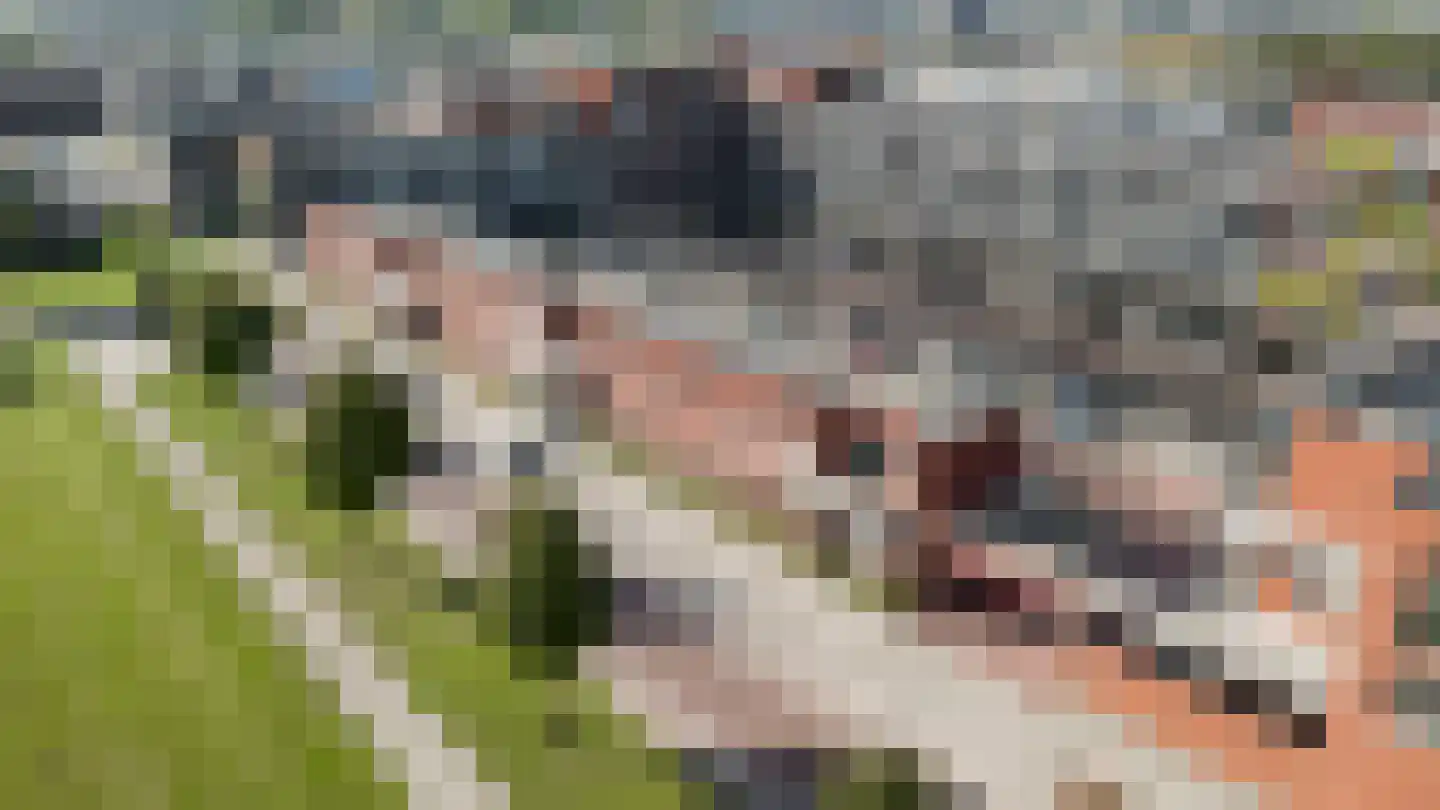 De Pionier 58 Dronten thumbnail 39
