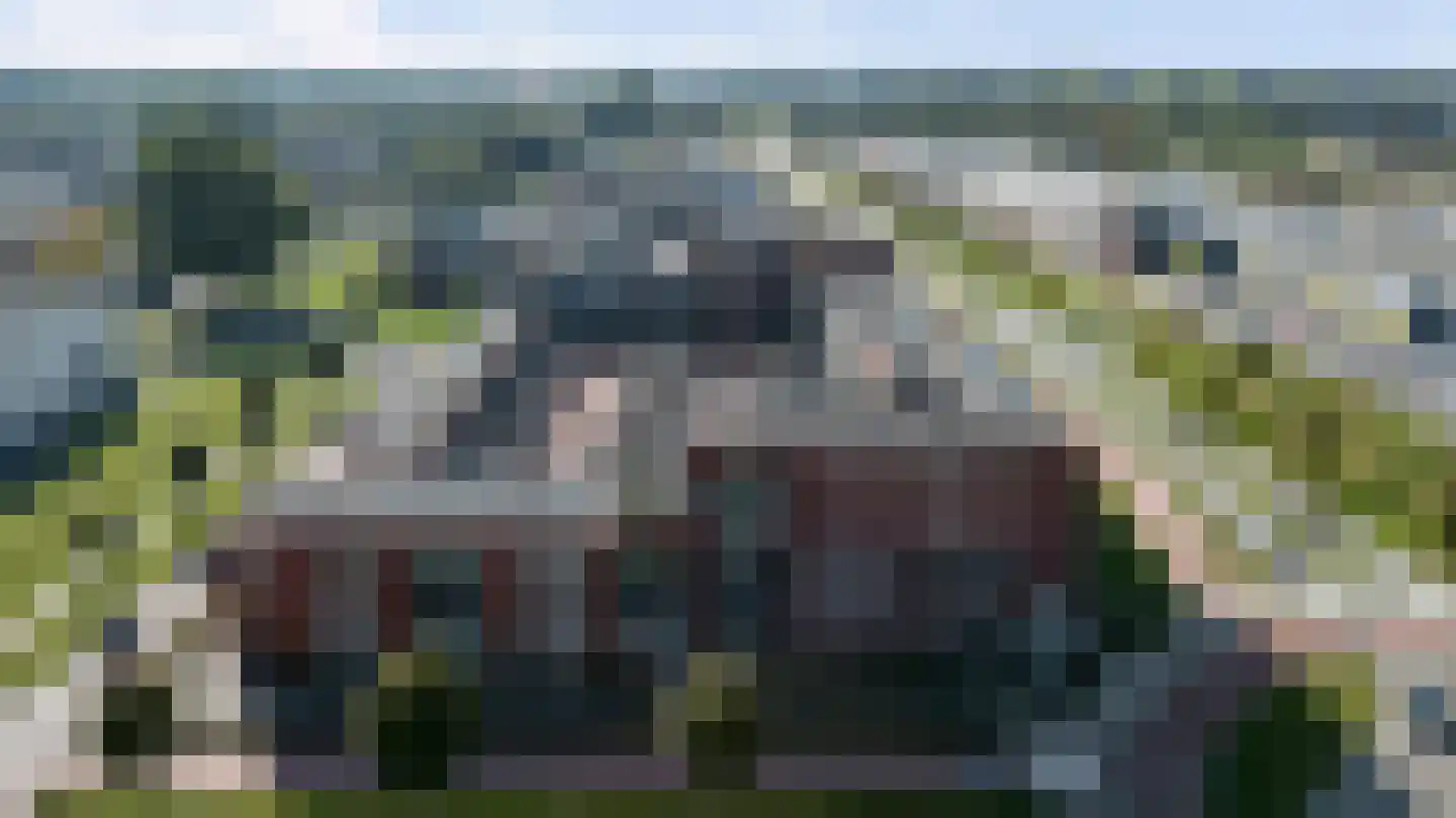 De Pionier 58 Dronten thumbnail 40