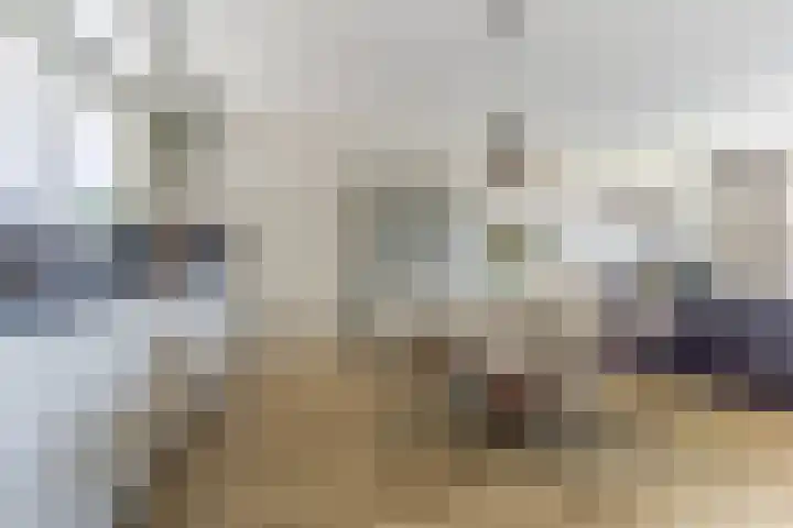 De Pionier 8 Dronten thumbnail 13