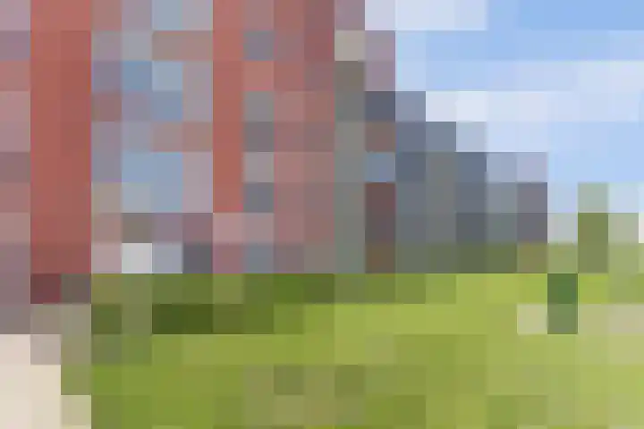 De Pionier 8 Dronten thumbnail 27