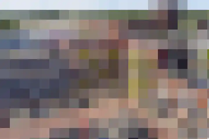 De Pionier 8 Dronten thumbnail 34