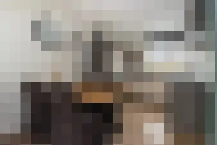 de Pirk 22 Vaassen thumbnail 12