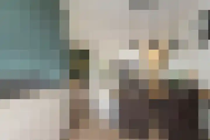 de Pirk 22 Vaassen thumbnail 14