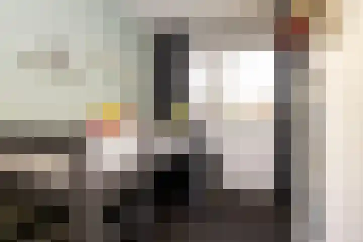 de Pirk 22 Vaassen thumbnail 17