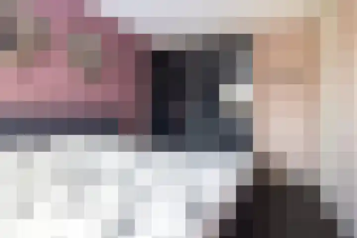 de Pirk 22 Vaassen thumbnail 19