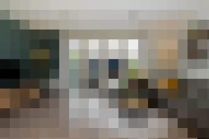 de Pirk 22 Vaassen foto 2