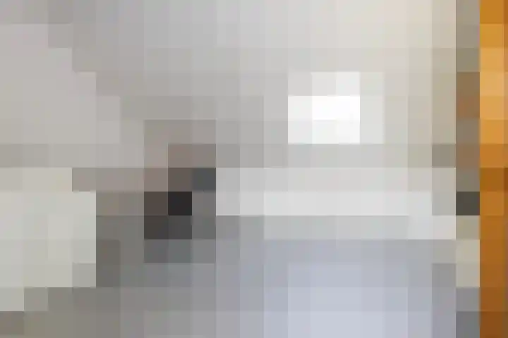de Pirk 22 Vaassen thumbnail 21