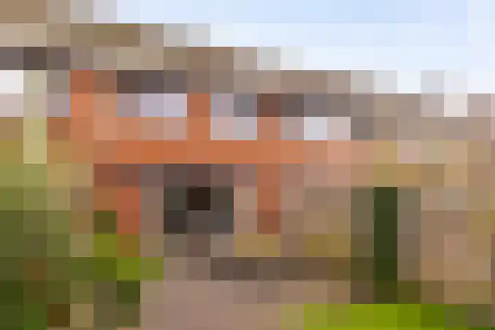 de Pirk 22 Vaassen thumbnail 23