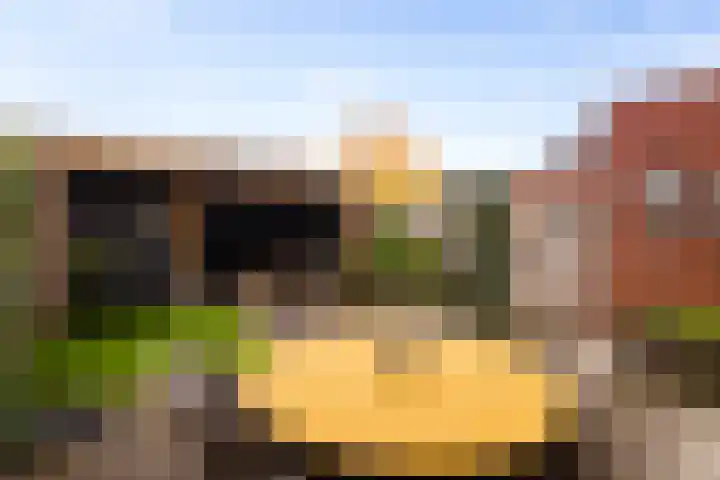 de Pirk 22 Vaassen thumbnail 25