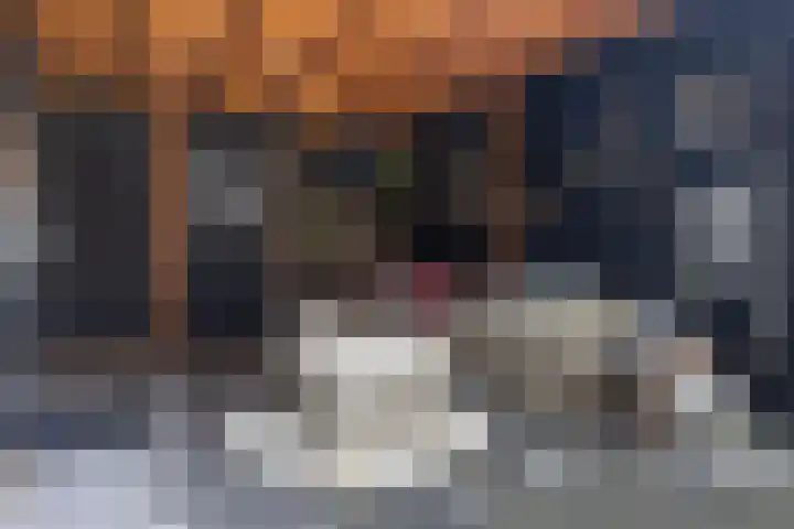 de Pirk 22 Vaassen thumbnail 28